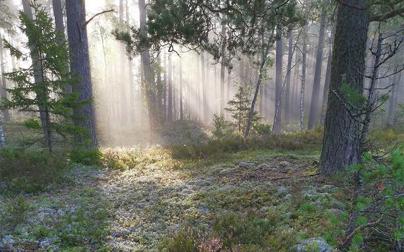 Keha-kõneleb-–-sümptomite-taga-peituvad-sõnumid