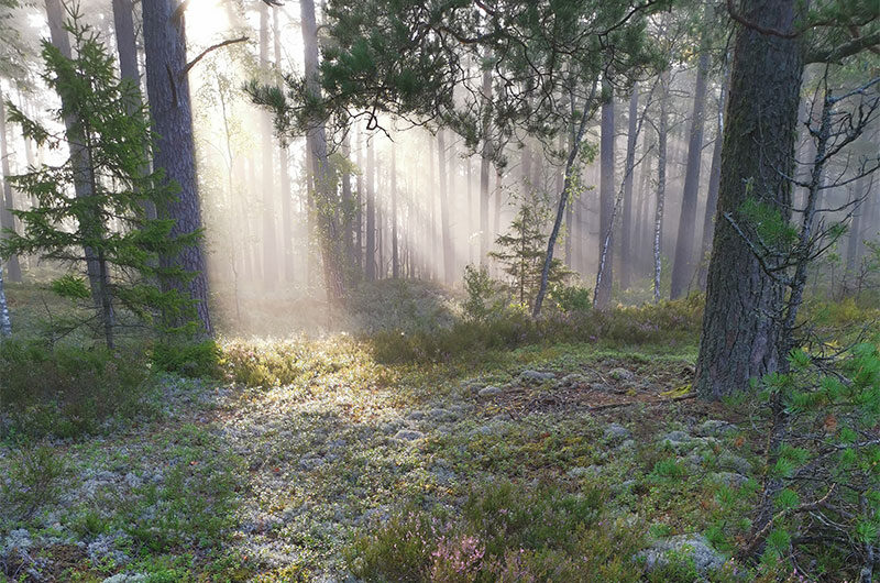 Keha-kõneleb-–-sümptomite-taga-peituvad-sõnumid